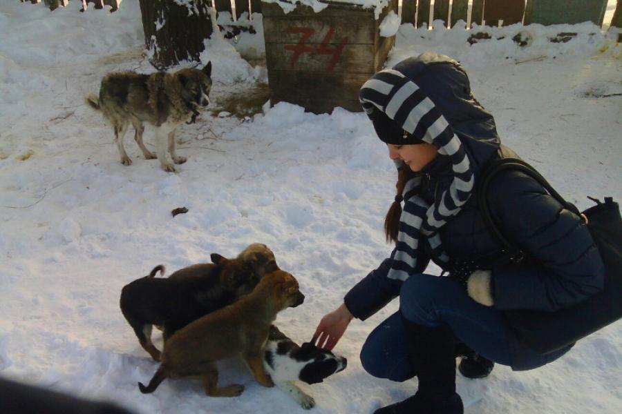 «Поможем перезимовать». Студенты Академии организовали благотворительную акцию для приюта «Ласка»