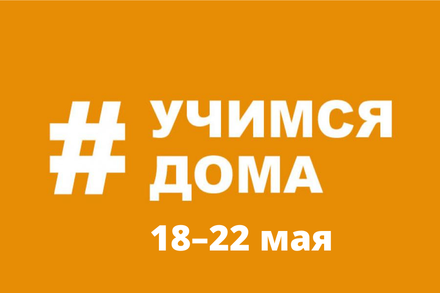 План мероприятий проекта #Учимся дома