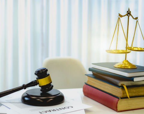 Высококвалифицированные юристы оказывают бесплатную юридическую помощь