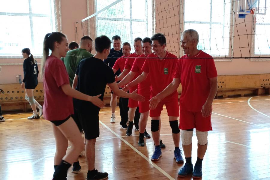 Спортивное единство на волейбольном матче