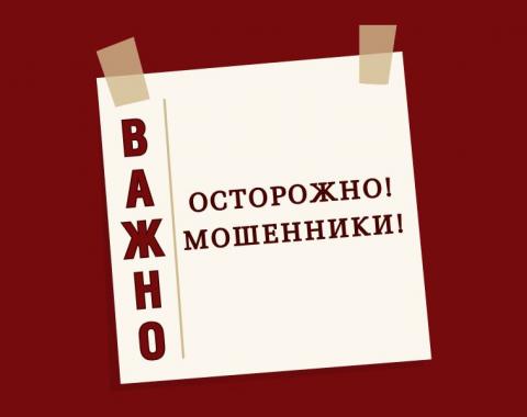 Дистанционное мошенничество: чем опасно и как защититься